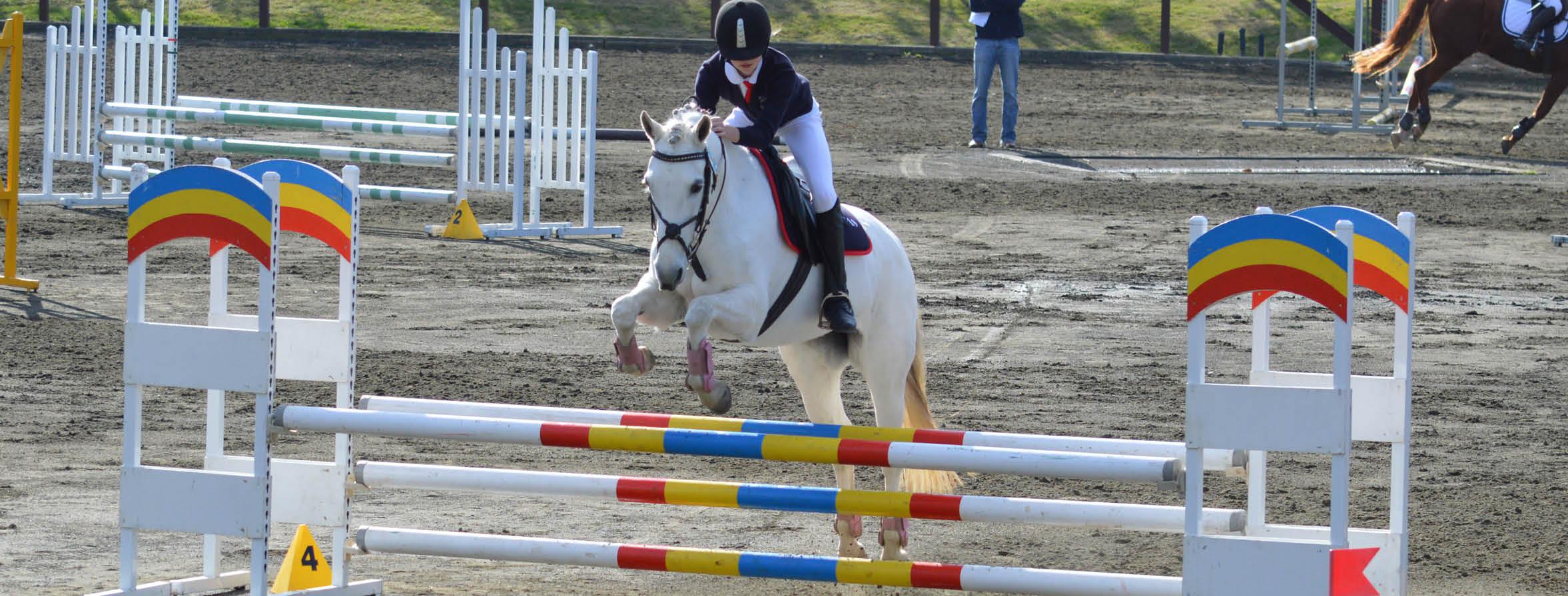 Clubs Equestrian New South Wales